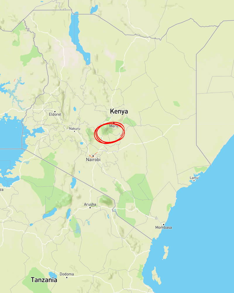 Die Rungeto Kooperative