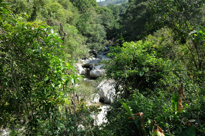 Die Natur in Kolumbien