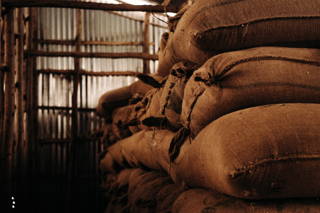 Bereit zum Export Rohkaffee