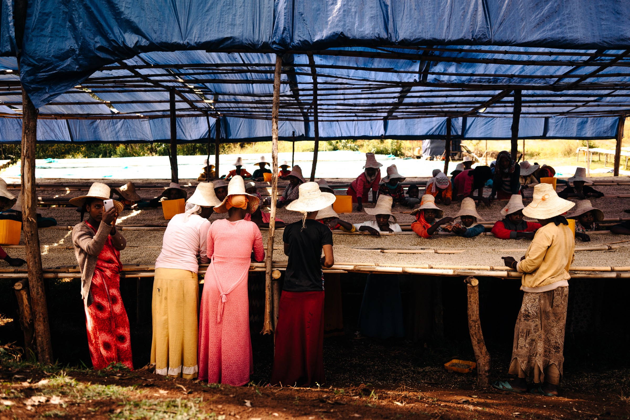 Hier wird der gewaschene Kaffee weiterverarbeitet