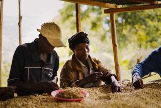 01-coffeecircle-kongo-idjwi-10.jpg