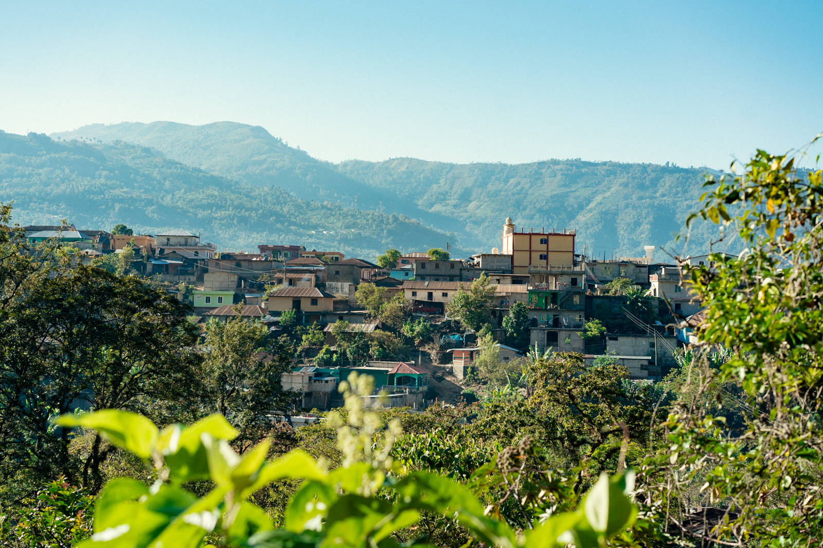 Guatemala Origin
