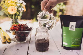 Cold Brew mit Limu Ganz einfach selbst gemacht