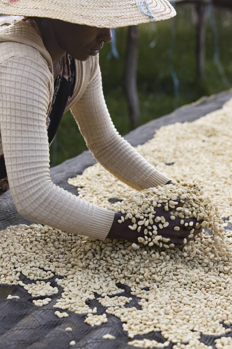 Kaffeefarmerin Äthiopien 2024