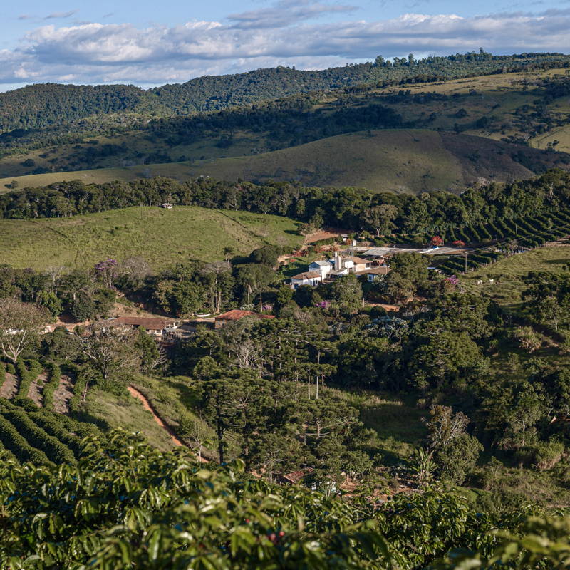 Fazenda Sertão