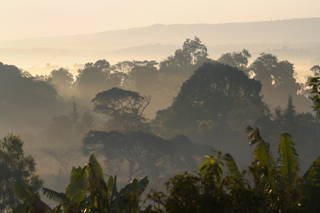 Atemberaubende Landschaft Coffee Circle reist nach Äthiopien