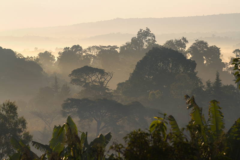 Coffee Circle reist nach Äthiopien