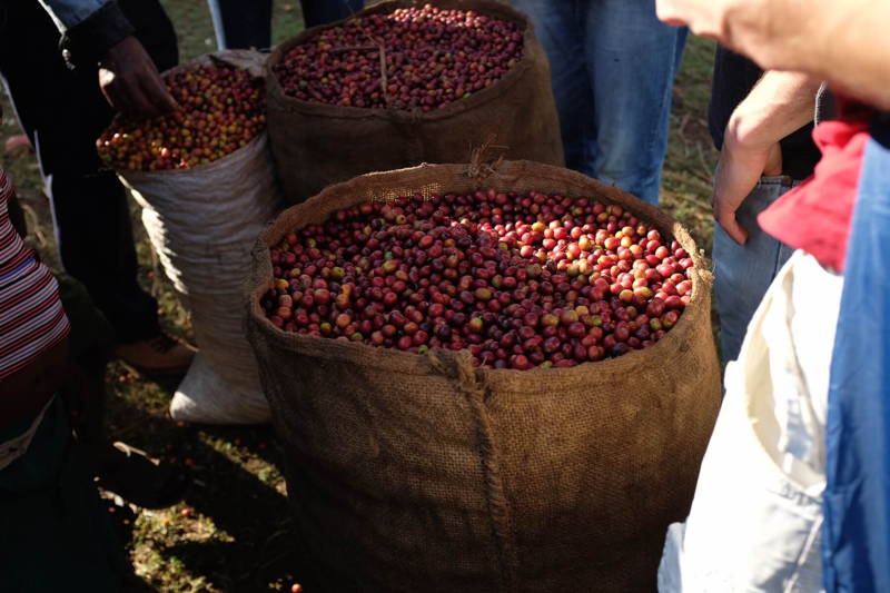 Anna goes to Ethiopia