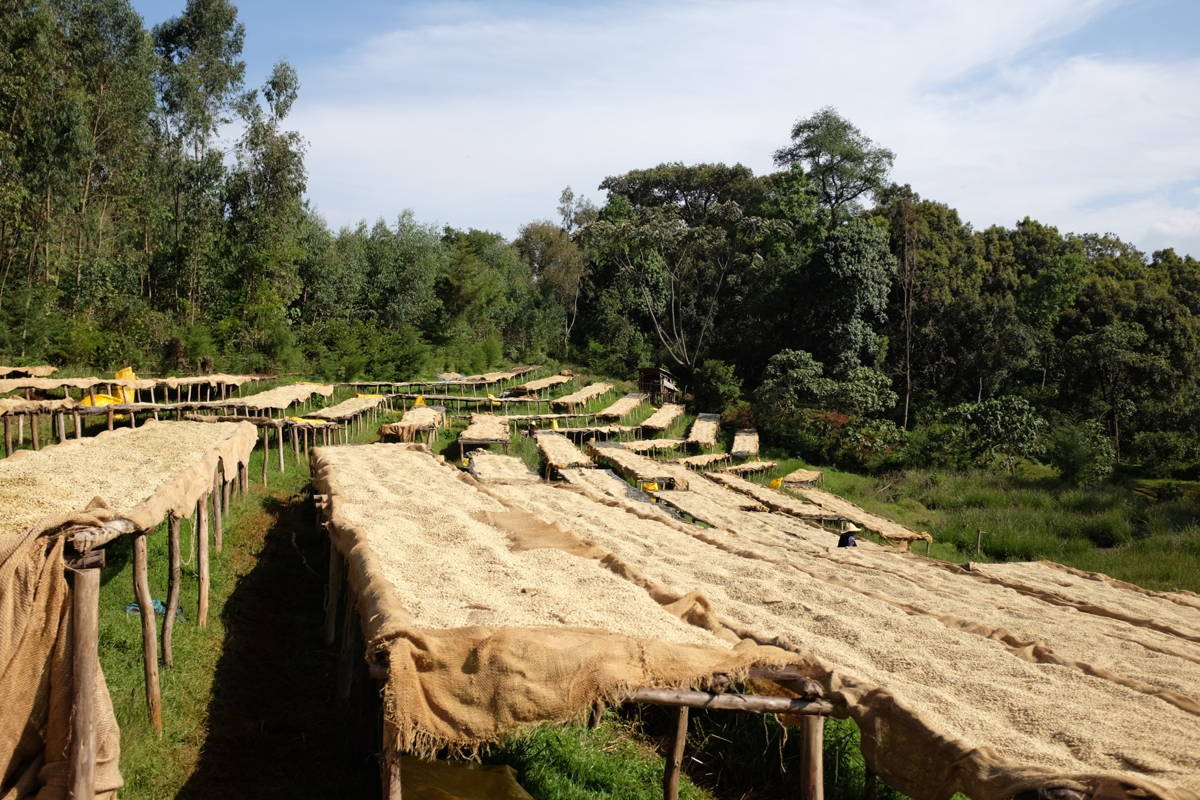 Drying Beds in Doyo, Äthiopien
