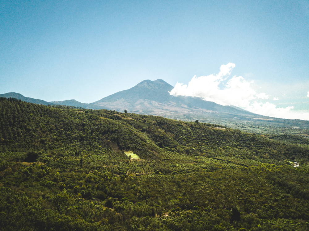 Guatemala Origin Guatemala Origin