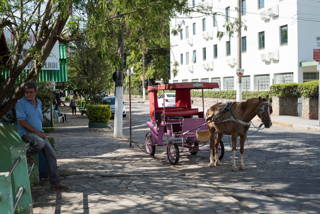 coffeecircle-brasilien-kaffeeland-reise-15.jpg
