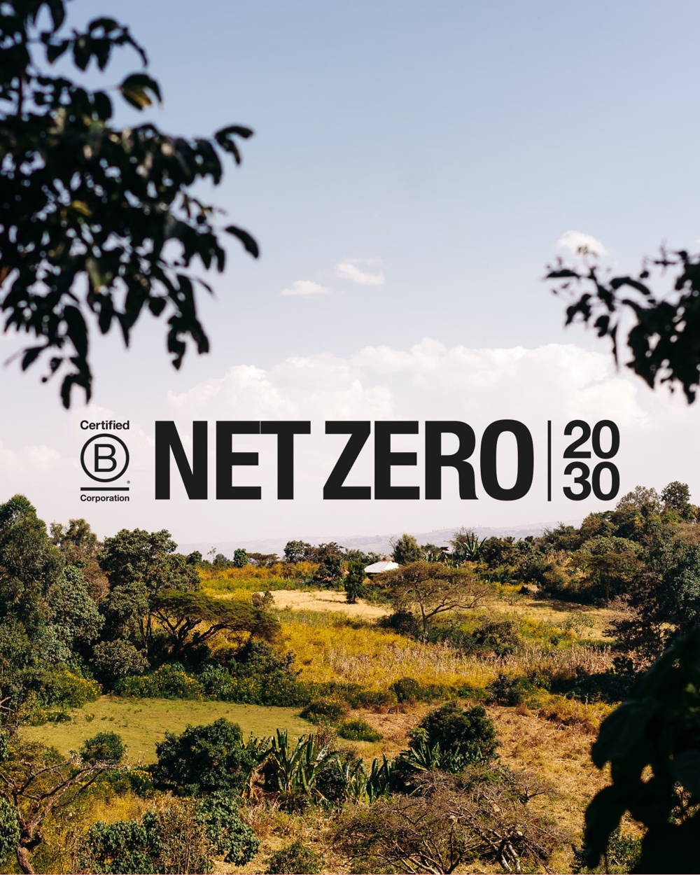 coffee-circle-b-corp-net-zero-2030.jpg