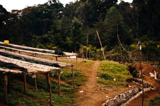 Drying Bed Natur