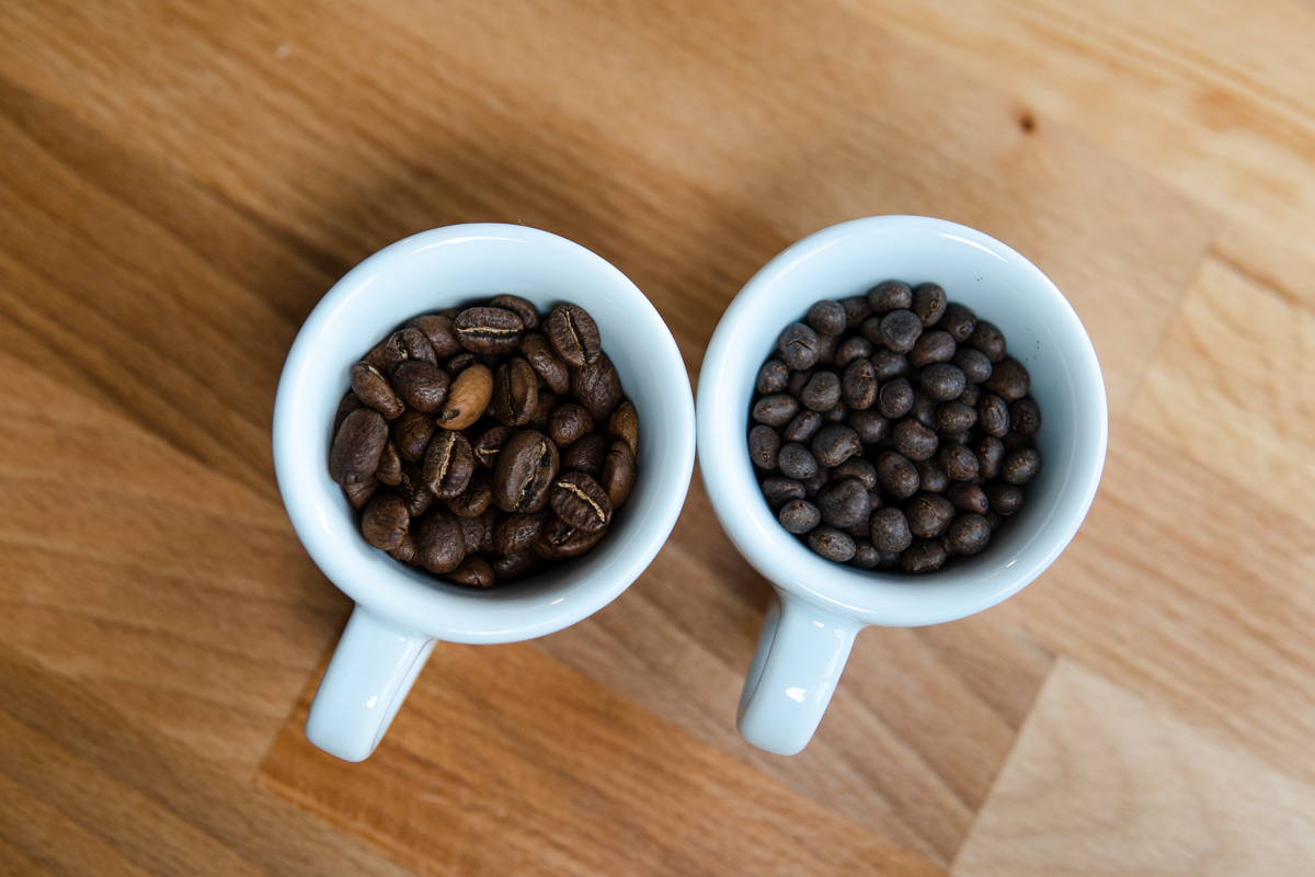 Lupinen Kaffee Test