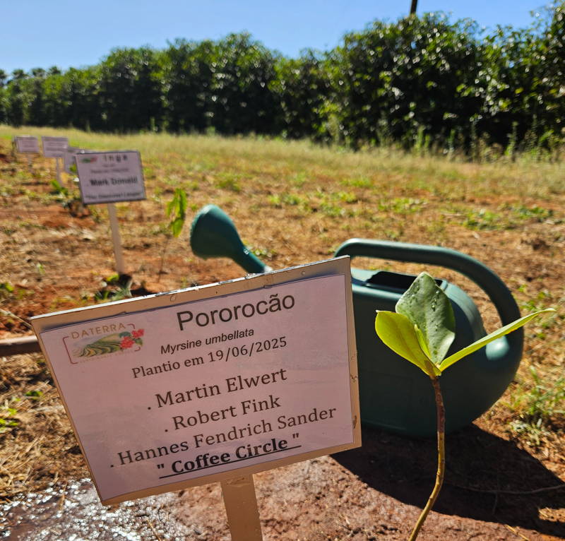 Coffee Circle Plot, Daterra, Brasilien