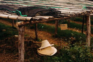 Drying Bed in der Sediloya Kooperative Hut und Netz