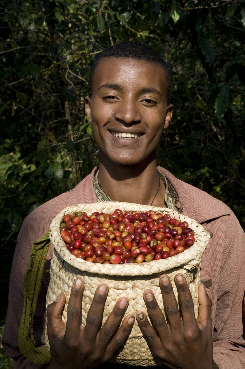 Kaffeeanbauregion Äthiopien