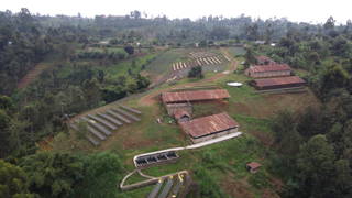 Thiririka Origin Blick auf die Farm, drying beds and Wetmill in Thiririka
