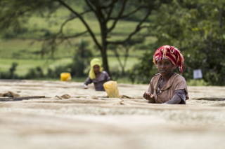 Coffeecircle in Äthiopien