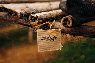Das Drying Bed In der Kaffeekooperative